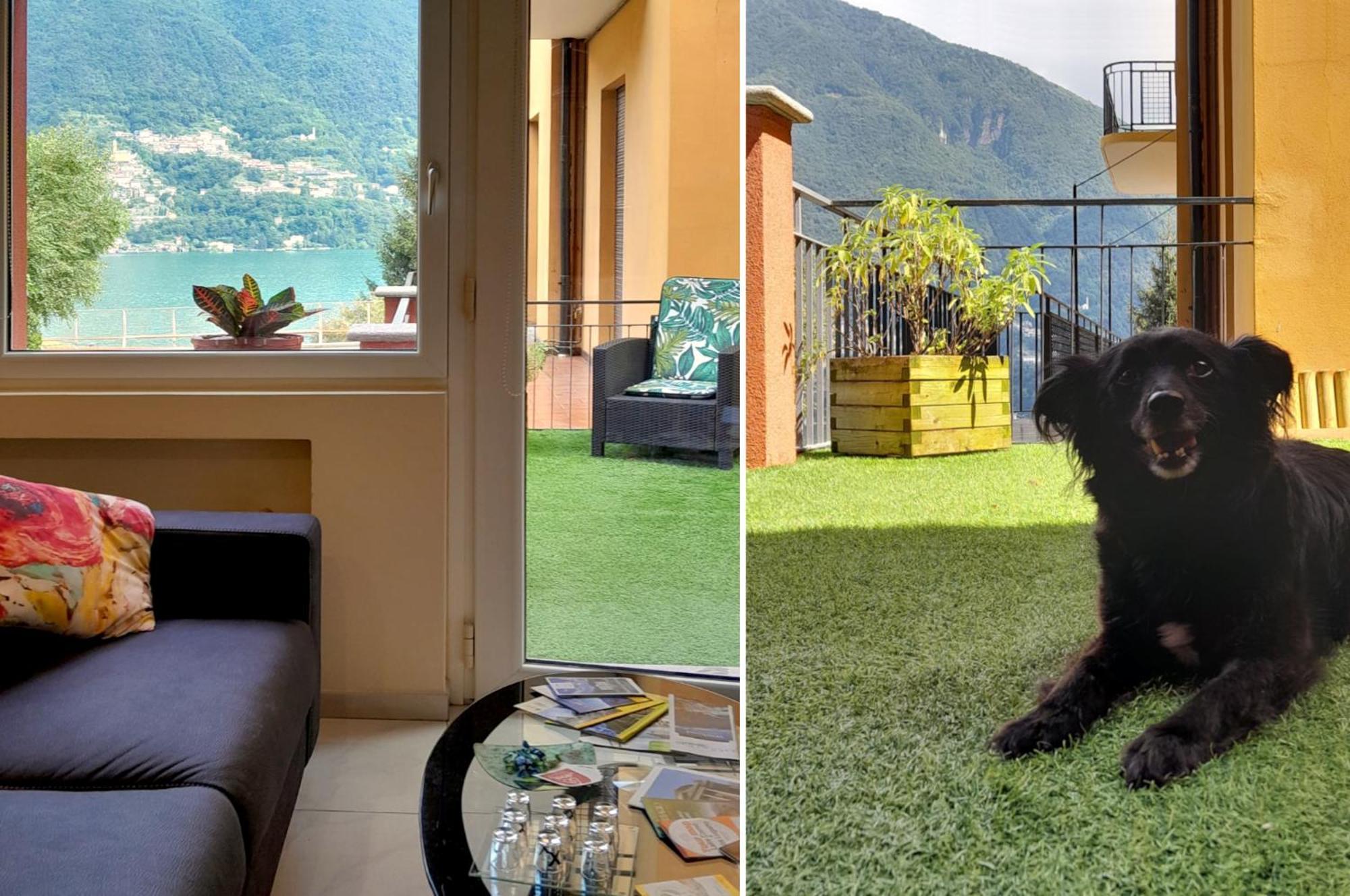 La Casina Apartman Laglio Kültér fotó